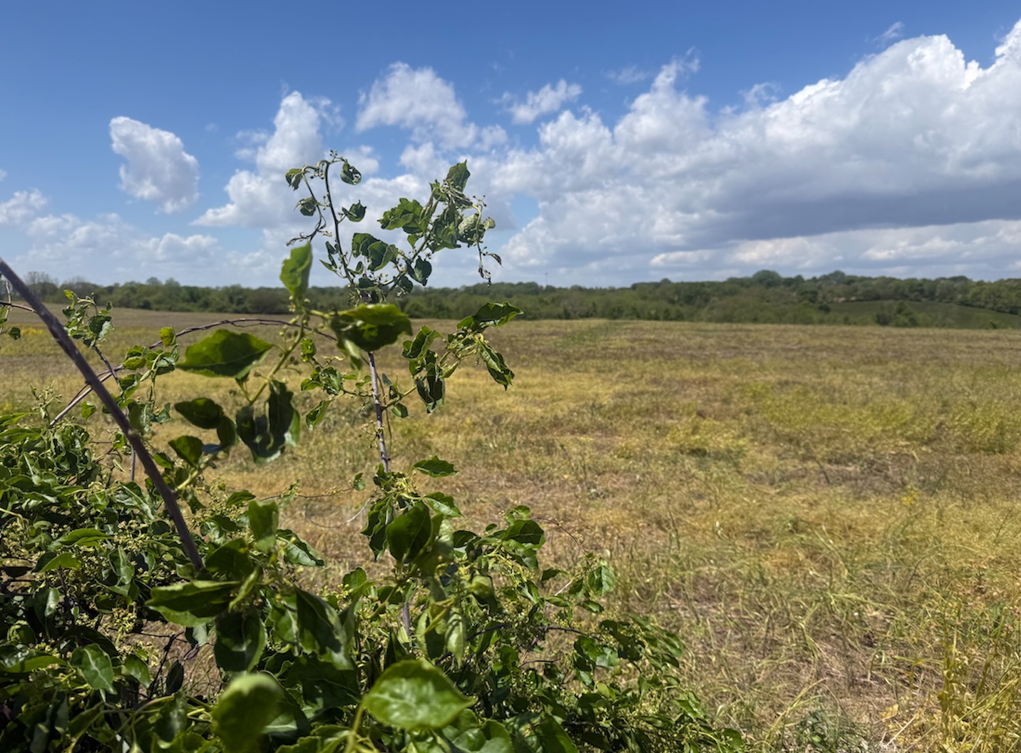Granville leaders push back against proposed Heath housing development